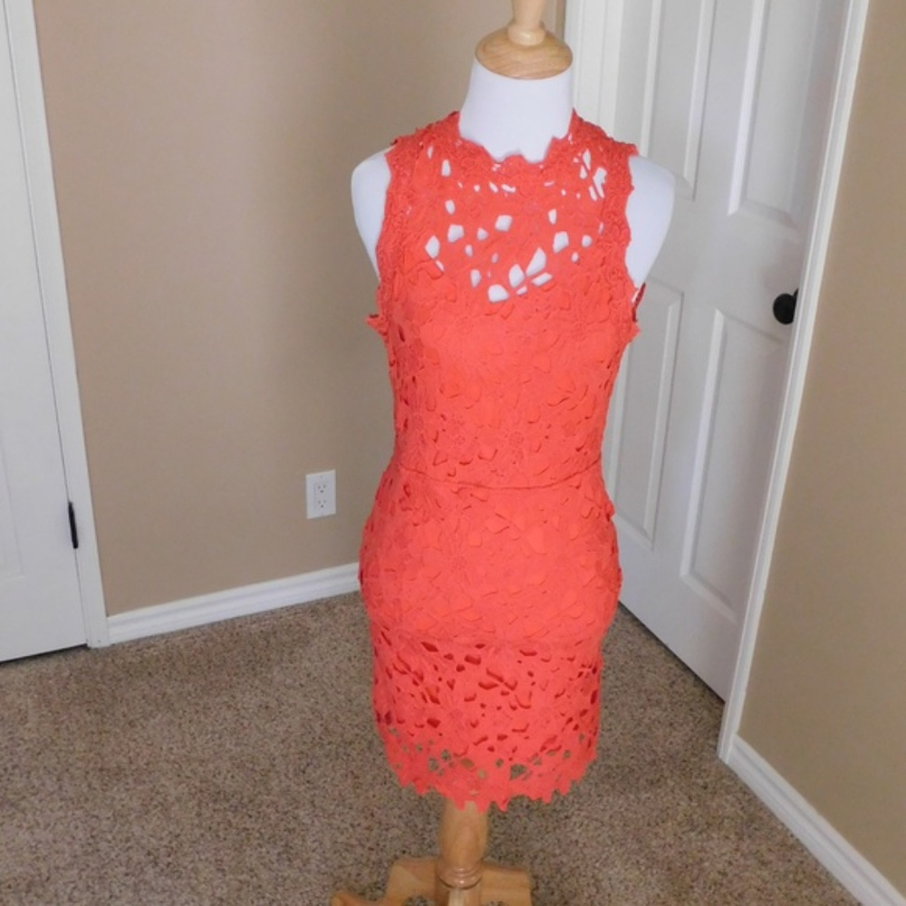 She and Sky Coral Lace Mini Dress, Open Back